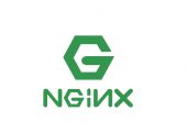 Nginx Access Log日志统计分析常用命令